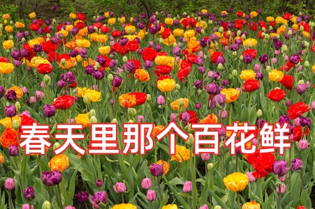 300_副本.jpg