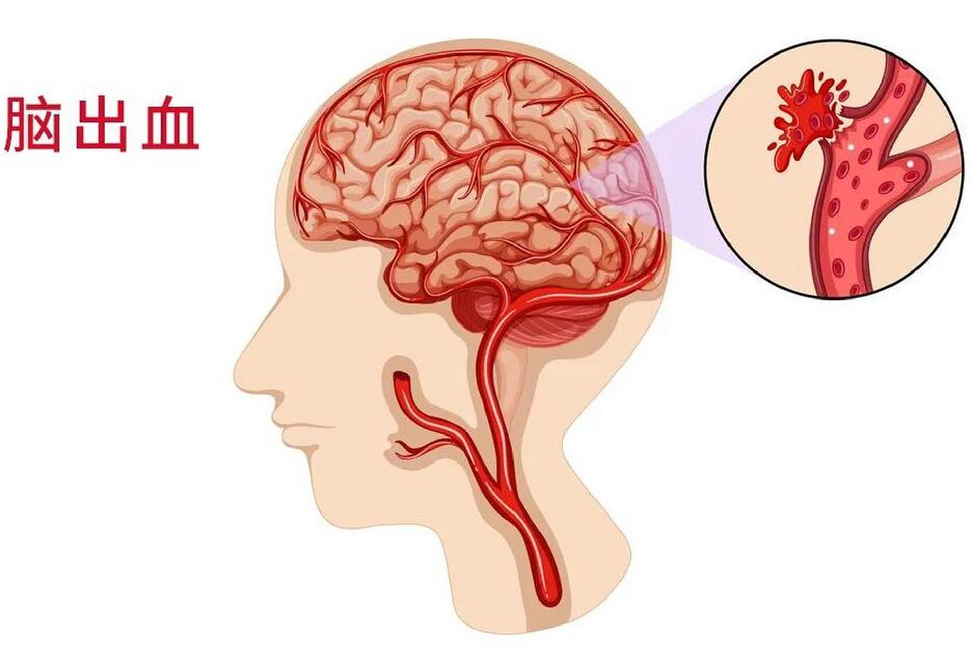 1743129794863084360.png 图片6.png