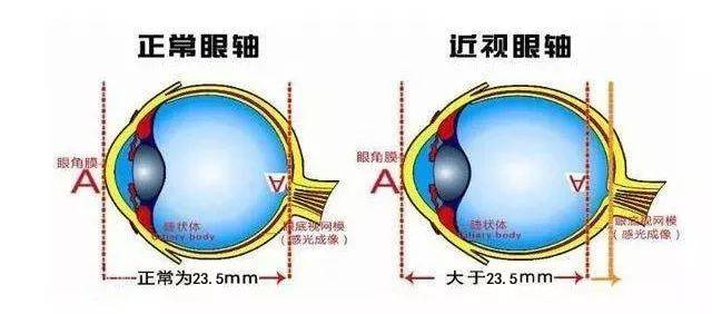 1744850016926021863.png 图片1.png