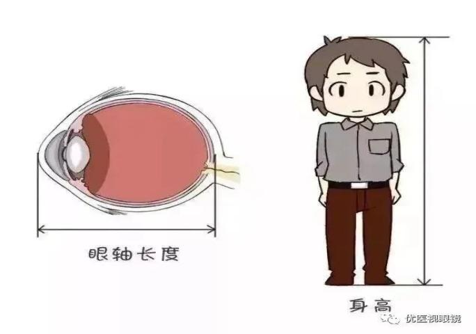 1744850032289040566.png 图片2.png