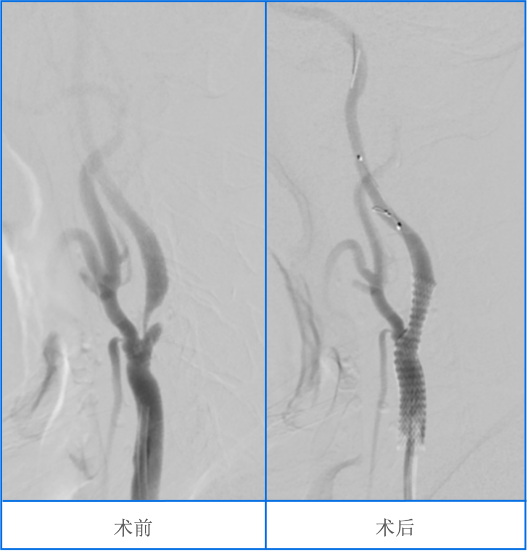 1765443486750076755.png image.png